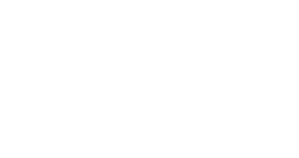 14_Key_Business_Network v2